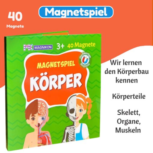 Magnetisches Lernspiel über den menschlichen Körper für Kinder ab 3 Jahren
