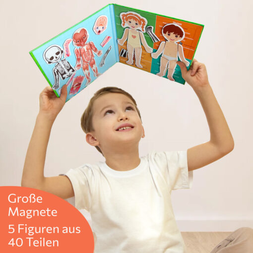 Magnetisches Lernspiel über den menschlichen Körper für Kinder ab 3 Jahren – Bild 3