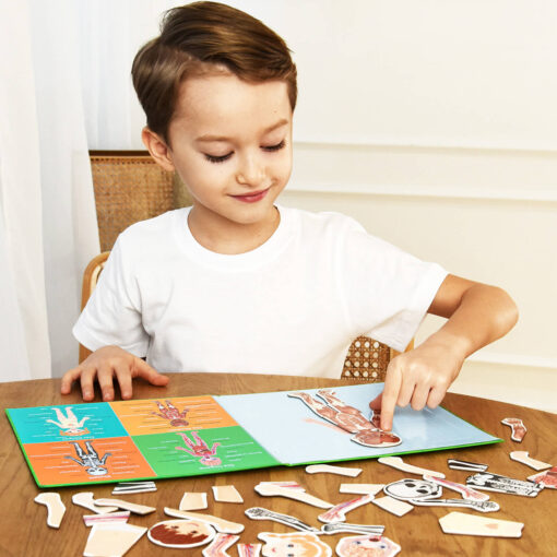 Magnetisches Lernspiel über den menschlichen Körper für Kinder ab 3 Jahren – Bild 5