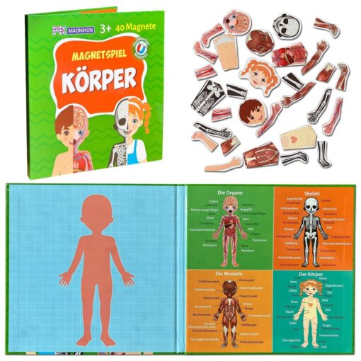 Magnetisches Lernspiel über den menschlichen Körper für Kinder ab 3 Jahren – Bild 8
