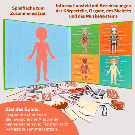 Magnetisches Lernspiel über den menschlichen Körper für Kinder ab 3 Jahren – Bild 6